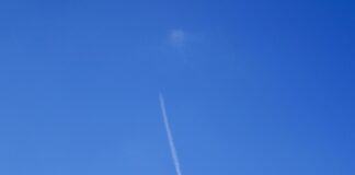 St Mary’s Catholic Church: Discover The Hidden Spiritual Treasures