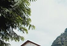 Catholic Church Near Me: Discover Inspiring Local Communities Today