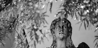 Saint Mary’s Catholic Church: Discover Its Rich History and Beauty