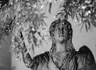 Saint Mary’s Catholic Church: Discover Its Rich History and Beauty