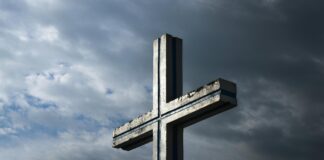 The Catholic Company: Discover Powerful Faith Resources That Inspire