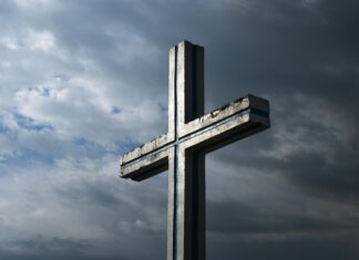 The Catholic Company: Discover Powerful Faith Resources That Inspire