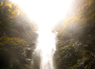 Catholics: Discover Powerful Insights and Surprising Facts Today