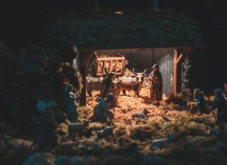 Christ The King Catholic Church: Discover Its Inspiring Community Spirit