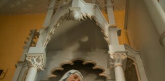 Catholic Charities Near Me: How They Transform Lives Locally