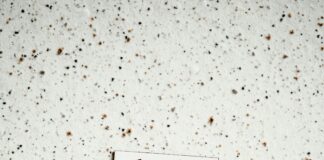 Catholic High Schools Near Me: Discover Top Choices for Excellence