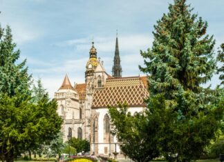 St Williams Catholic Church: Discover Its Inspiring History & Community