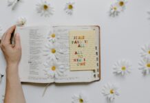 Little Flower Catholic Church: Discover Its Inspiring History and Faith