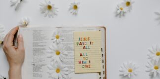 Little Flower Catholic Church: Discover Its Inspiring History and Faith