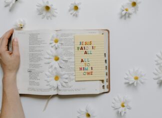 Little Flower Catholic Church: Discover Its Inspiring History and Faith