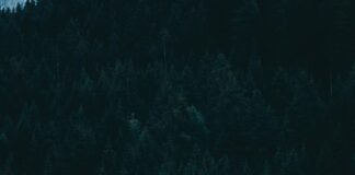 St John Of Evangelist Catholic Church: Discover Its Inspiring Legacy