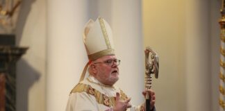 Current Number of Cardinals in the Catholic Church