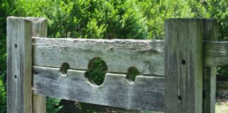 Unveiling the Catholic Church’s Role in Medieval Torture Practices