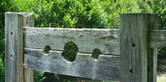 Unveiling the Catholic Church’s Role in Medieval Torture Practices