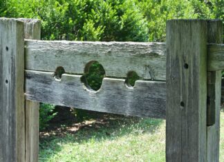 Unveiling the Catholic Church’s Role in Medieval Torture Practices