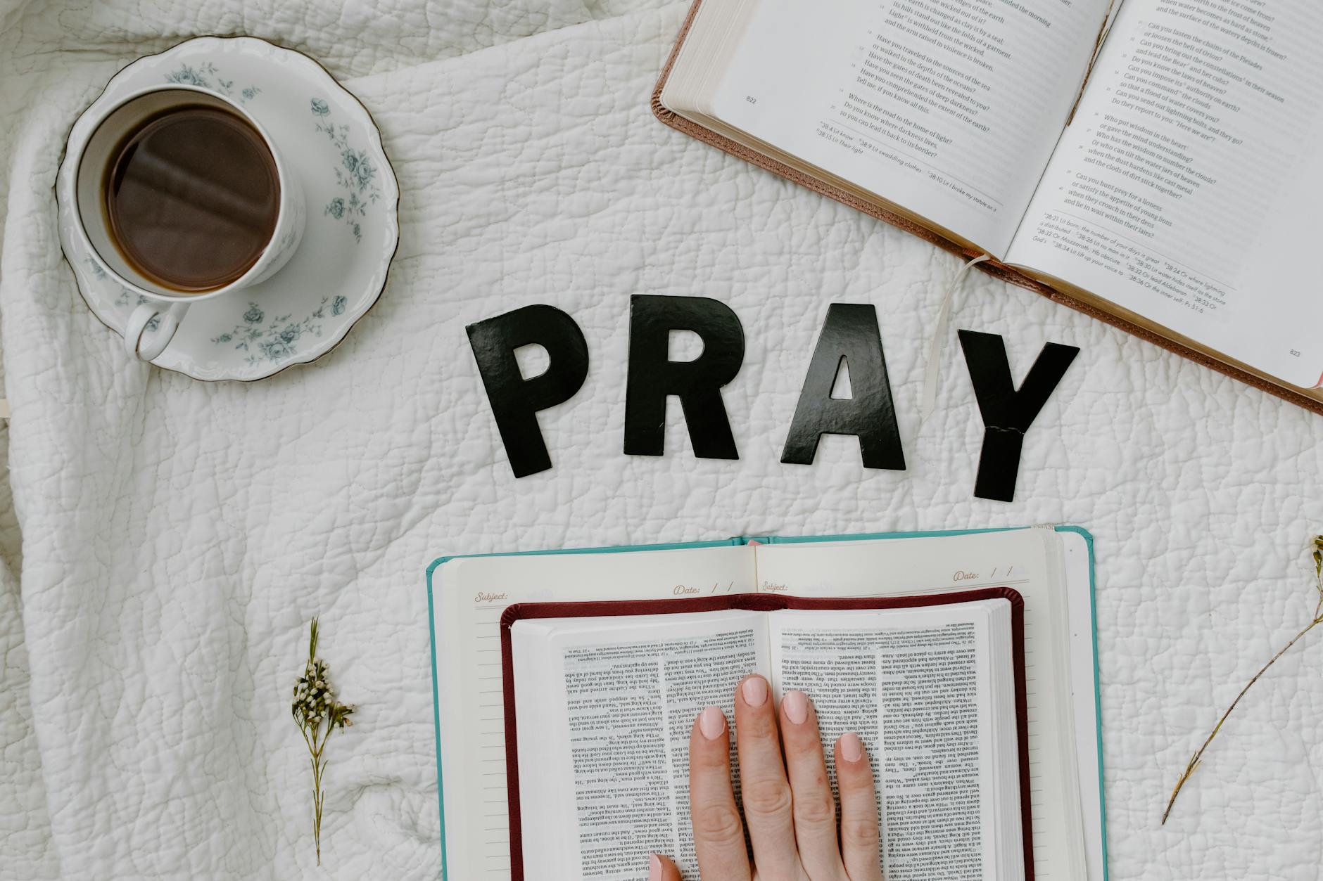 5 Powerful Ways to Apply Today’s Catholic Readings to Your Life*