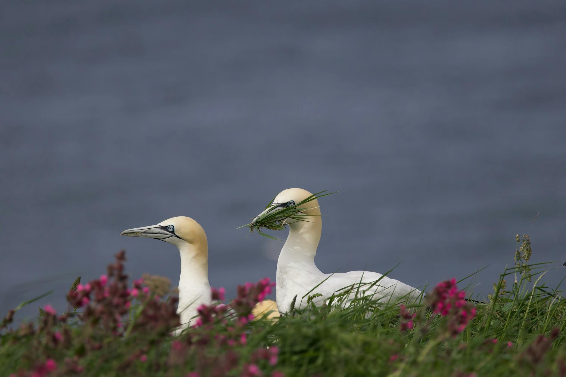 The Truth About the Hail Mary: What Most Catholics Get Wrong*
