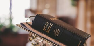 The Bible the Catholic Church Recommends for Authentic Teachings