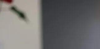 Daily Catholic Mass Readings: Nourish Your Faith with Scripture