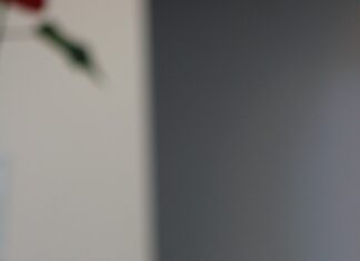 Daily Catholic Mass Readings: Nourish Your Faith with Scripture