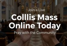 Join a Live Catholic Mass Online Today – Pray with the Community