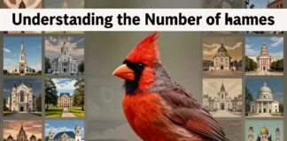 Understanding the Number of Cardinals in the Catholic Church