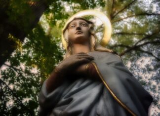 Discover the Power of Catholic Devotion to Mary