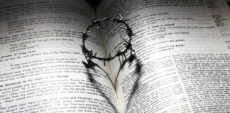 Is Trump Catholic or Protestant? Understanding His Religious Beliefs