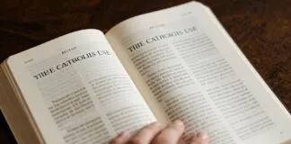 The Bible Catholics Use: Understanding the Catholic Canon